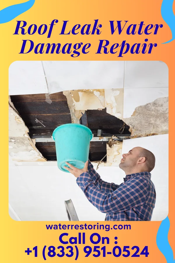 Roof Leak Water Damage Repair in Kansas, IL